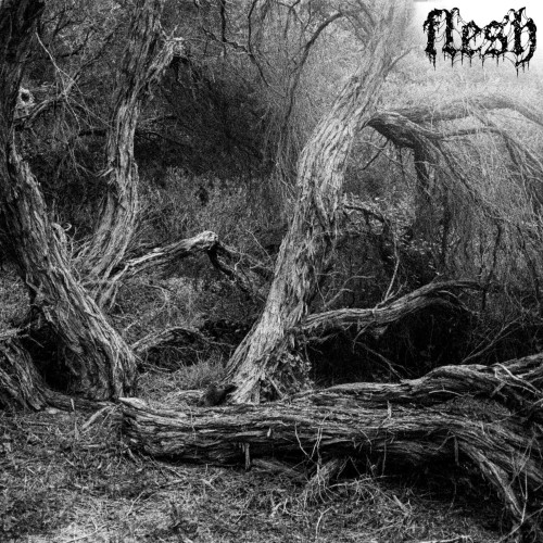 slowcut - flesh
